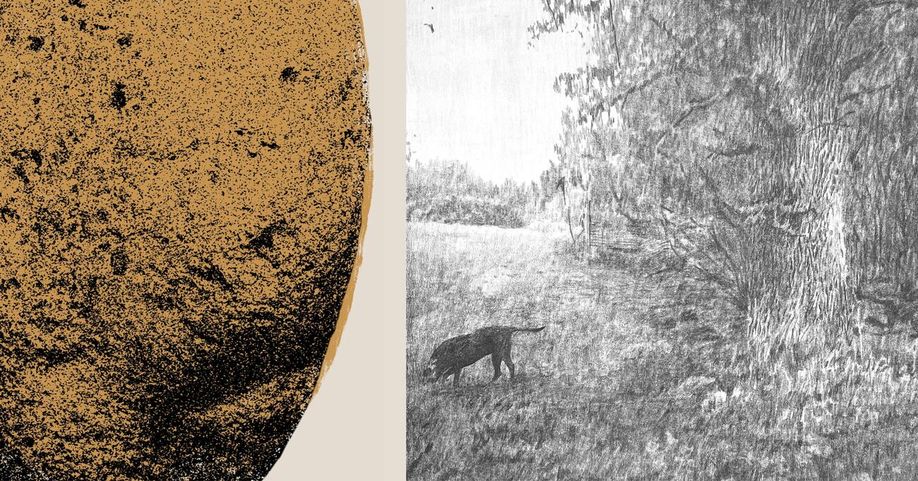 Exhibition: “Zemlja/Earth”